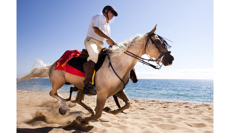 Fotografía de estudio