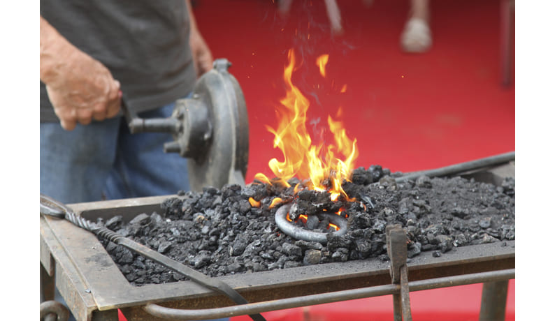 Fotografía profesional